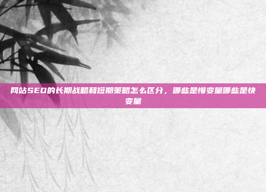 网站SEO的长期战略和短期策略怎么区分,哪些是慢变量哪些是快变量