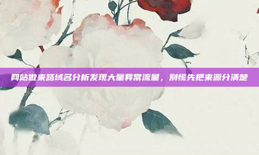 网站做来路域名分析发现大量异常流量,别慌先把来源分清楚