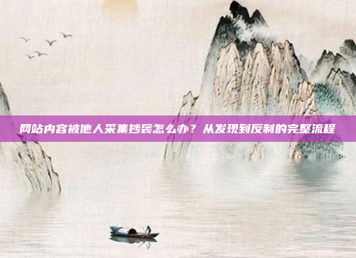 网站内容被他人采集抄袭怎么办?从发现到反制的完整流程