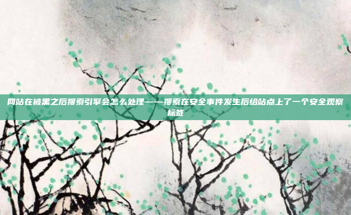网站在被黑之后搜索引擎会怎么处理——搜索在安全事件发生后给站点上了一个安全观察标签