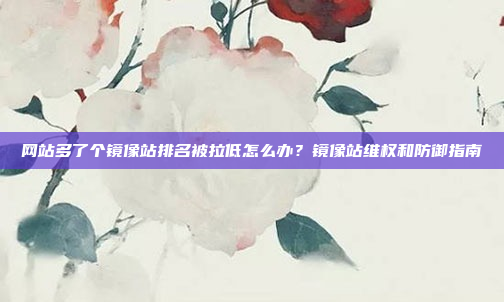 网站多了个镜像站排名被拉低怎么办？镜像站维权和防御指南