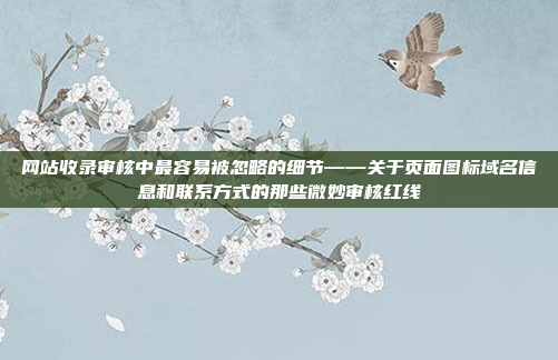 网站收录审核中最容易被忽略的细节——关于页面图标域名信息和联系方式的那些微妙审核红线