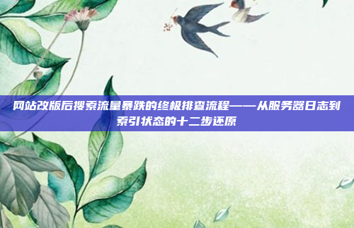 网站改版后搜索流量暴跌的终极排查流程——从服务器日志到索引状态的十二步还原