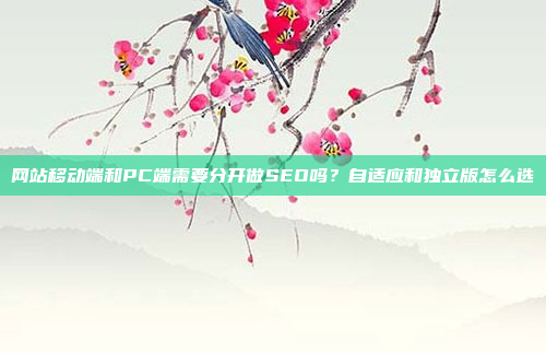 网站移动端和PC端需要分开做SEO吗?自适应和独立版怎么选