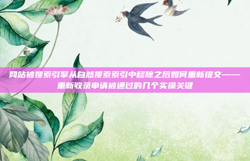 网站被搜索引擎从自然搜索索引中移除之后如何重新提交——重新收录申请被通过的几个实操关键
