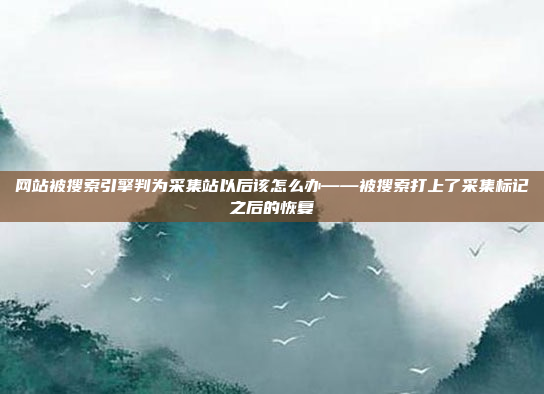 网站被搜索引擎判为采集站以后该怎么办——被搜索打上了采集标记之后的恢复