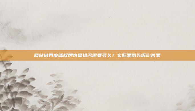 网站被百度降权后恢复排名需要多久?实际案例告诉你答案