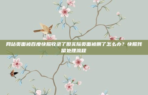 网站页面被百度快照收录了但实际页面被删了怎么办?快照残留处理流程