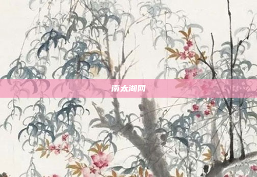 南太湖网