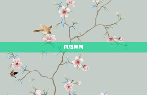 丹阳翼网