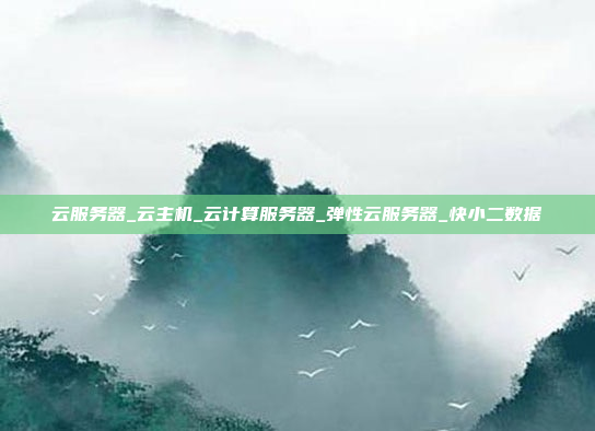 云服务器_云主机_云计算服务器_弹性云服务器_快小二数据