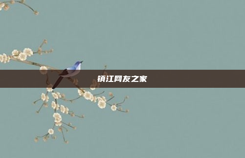 镇江网友之家
