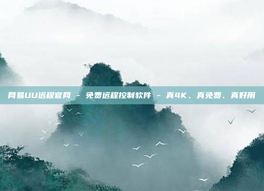 网易UU远程官网 - 免费远程控制软件 - 真4K、真免费、真好用