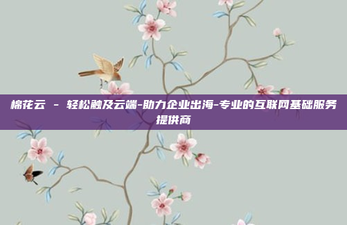 棉花云 - 轻松触及云端-助力企业出海-专业的互联网基础服务提供商