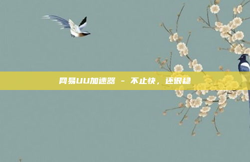 网易UU加速器 - 不止快,还很稳