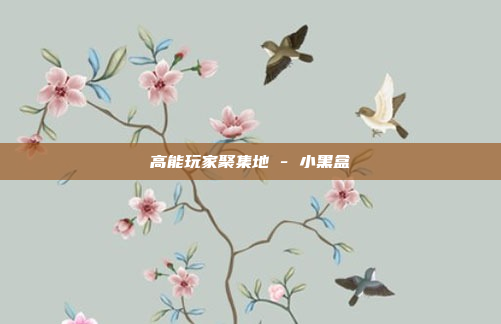 高能玩家聚集地 - 小黑盒