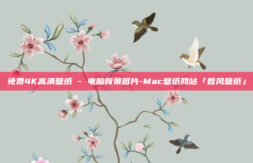 免费4K高清壁纸 - 电脑背景图片-Mac壁纸网站「哲风壁纸」