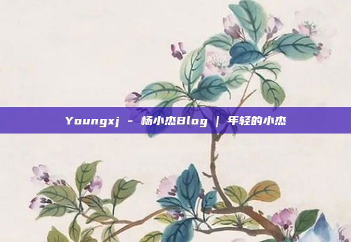 Youngxj - 杨小杰Blog | 年轻的小杰