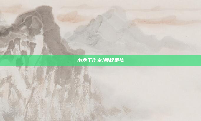 小龙工作室/授权系统
