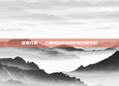 准星代售 - 三角洲出哈夫找护航代肝平台
