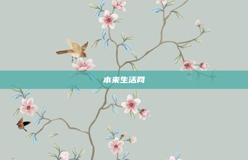 本来生活网