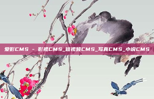 爱影CMS - 影视CMS_短视频CMS_写真CMS_小说CMS