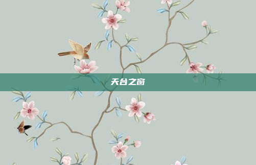 天台之窗