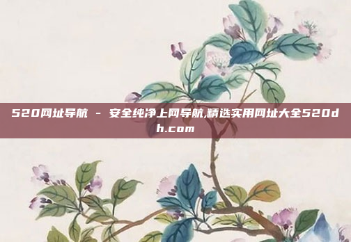 520网址导航 - 安全纯净上网导航,精选实用网址大全520dh.com
