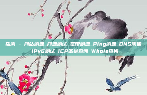 拨测 - 网站测速_网速测试_宽带测速_Ping测速_DNS测速_IPv6测试_ICP备案查询_Whois查询