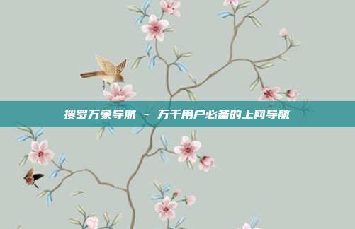搜罗万象导航 - 万千用户必备的上网导航