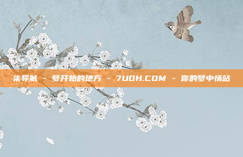 柒导航 - 梦开始的地方 - 7UDH.COM - 你的梦中情站