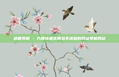 迷鹿导航 - 方便快捷实用且不迷路的网址导航网站