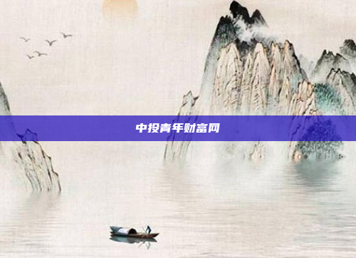中投青年财富网