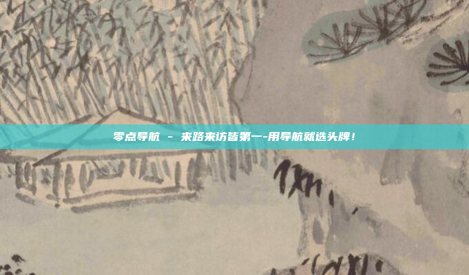 零点导航 - 来路来访皆第一-用导航就选头牌!