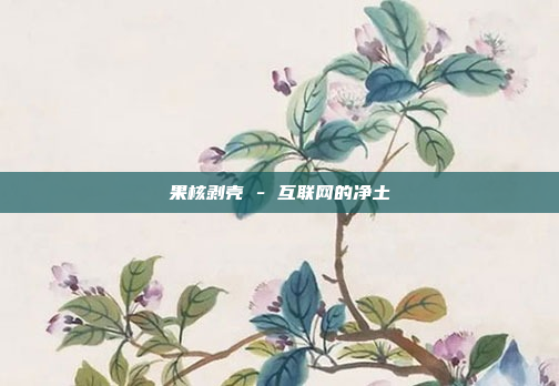 果核剥壳 - 互联网的净土