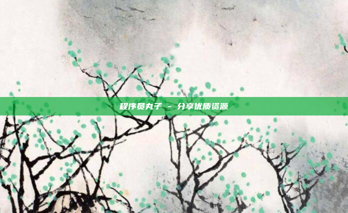 程序员丸子 - 分享优质资源