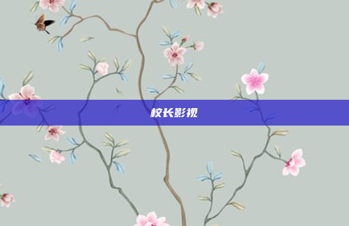 校长影视
