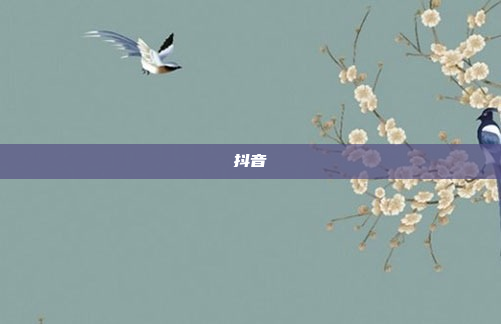 抖音
