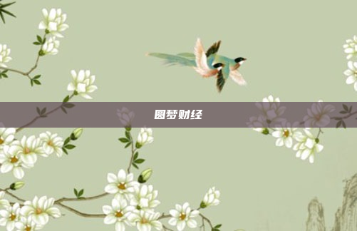 圆梦财经