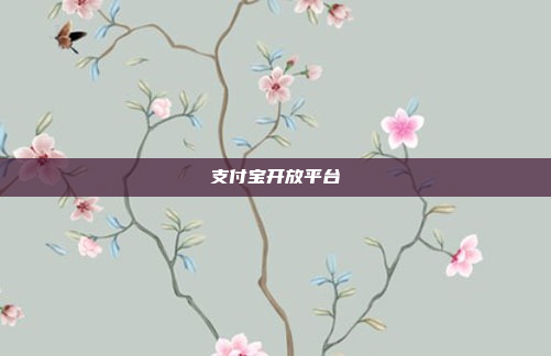 支付宝开放平台
