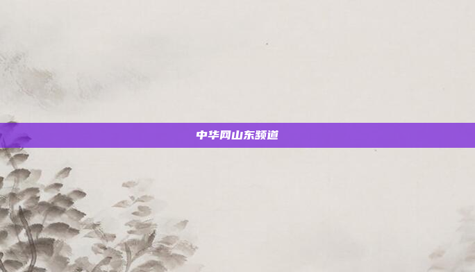 中华网山东频道
