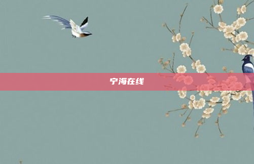 宁海在线