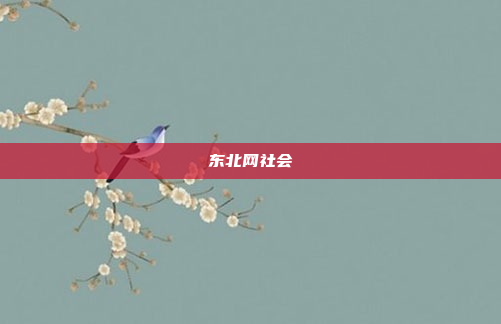 东北网社会