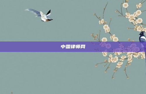 中国律师网