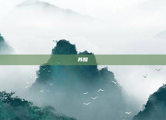 苏醒