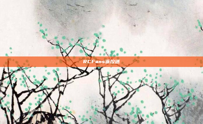 RCFans遥控迷