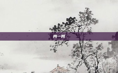 尚一网
