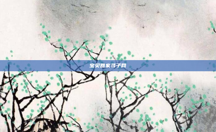 宝贝回家寻子网