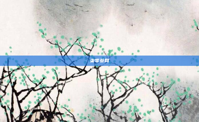 柒零叁网