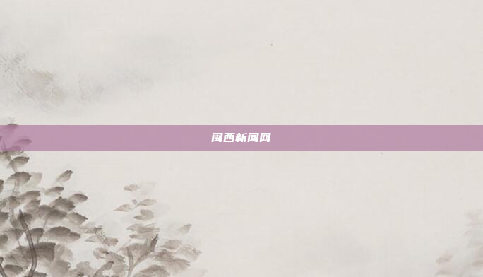 闽西新闻网